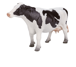 �z���X�^�C����